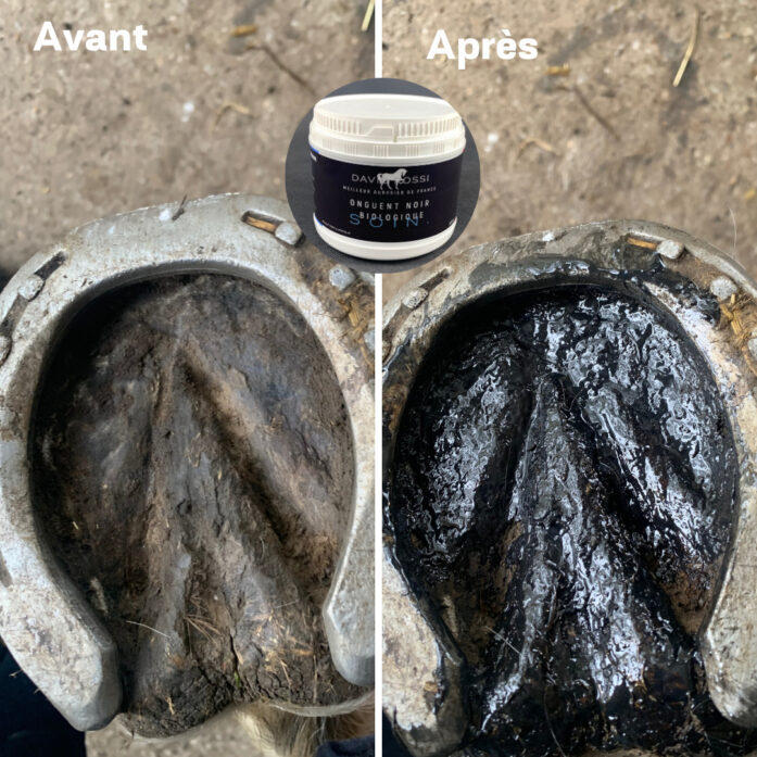 Application onguent noir biologique