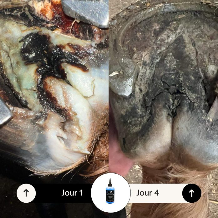 Antiseptique cicatrisant fourchettes – Image 2