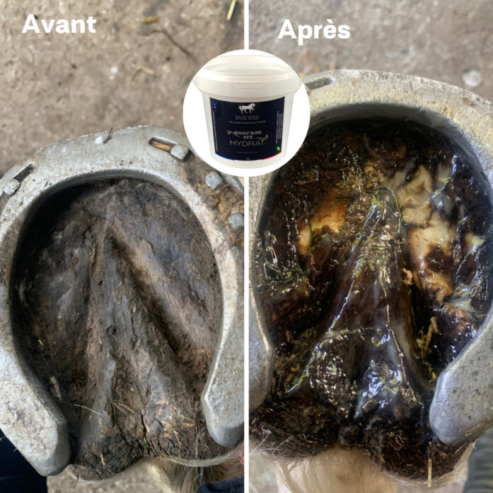 Onguent blond Davidrossiproduits