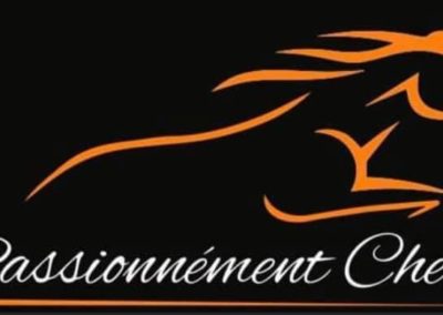 Sellerie Passionnément cheval