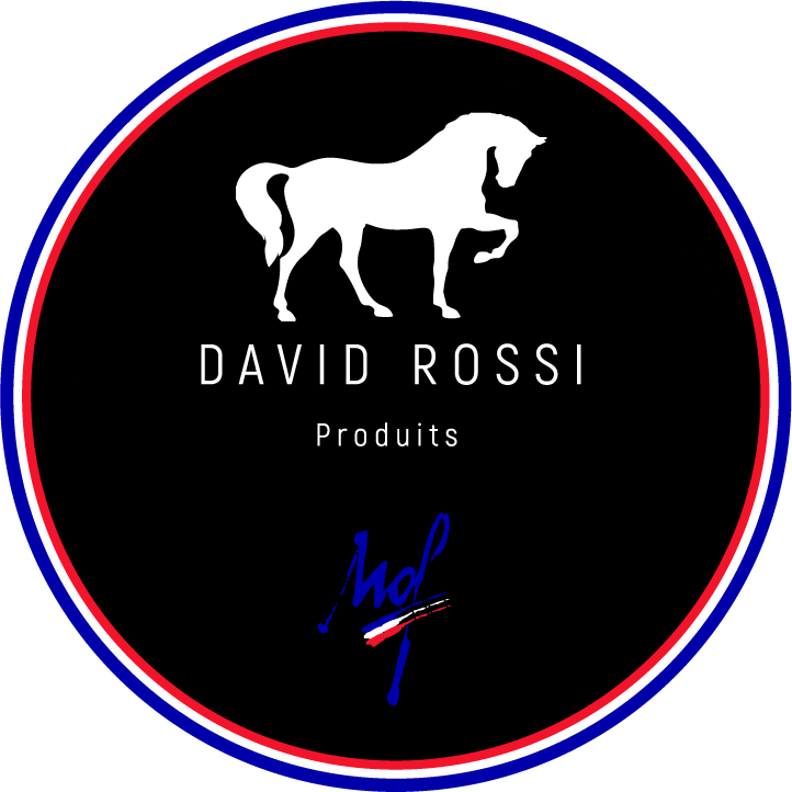 Logo davidrossiproduits