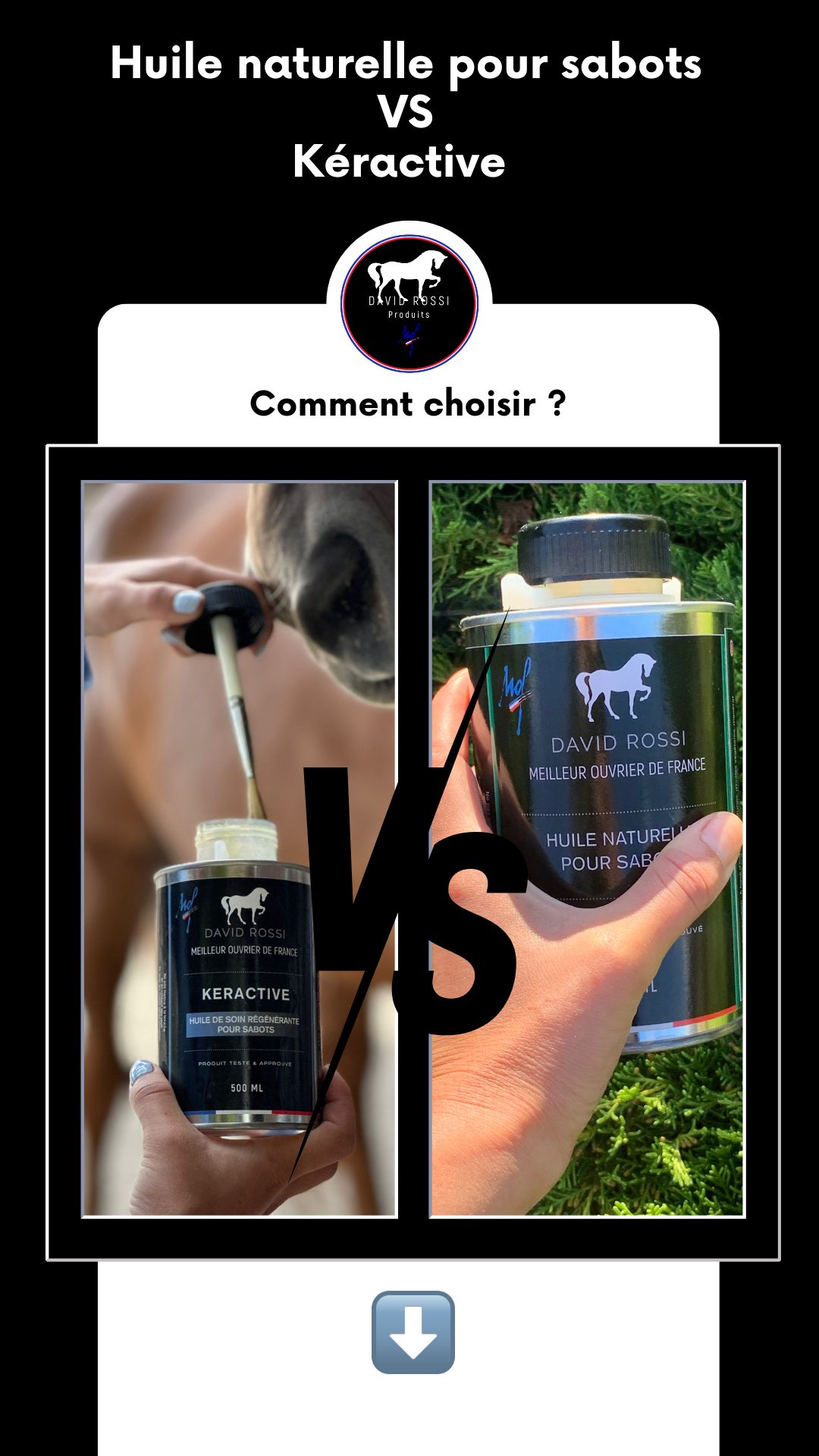 Comment choisir entre nos deux huiles davidrossiproduits ?